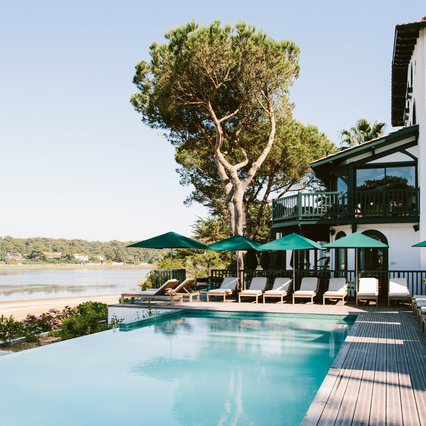 Les Hortensias du Lac