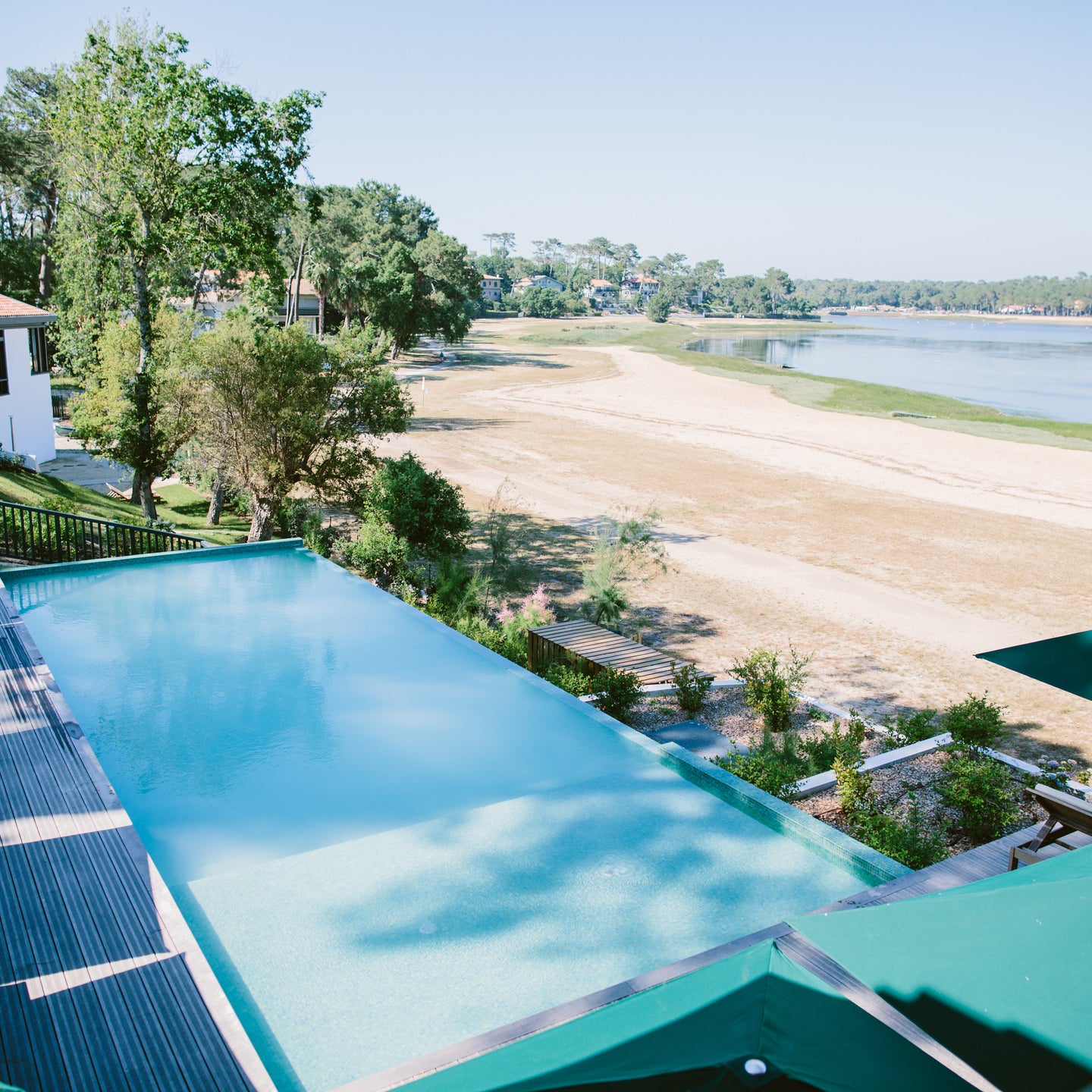 Les Hortensias du Lac