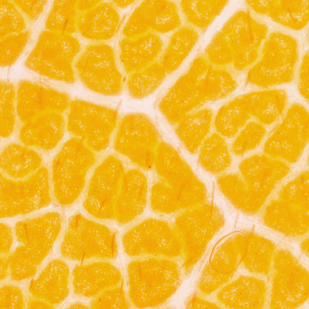 <b>Vitamine C</b>