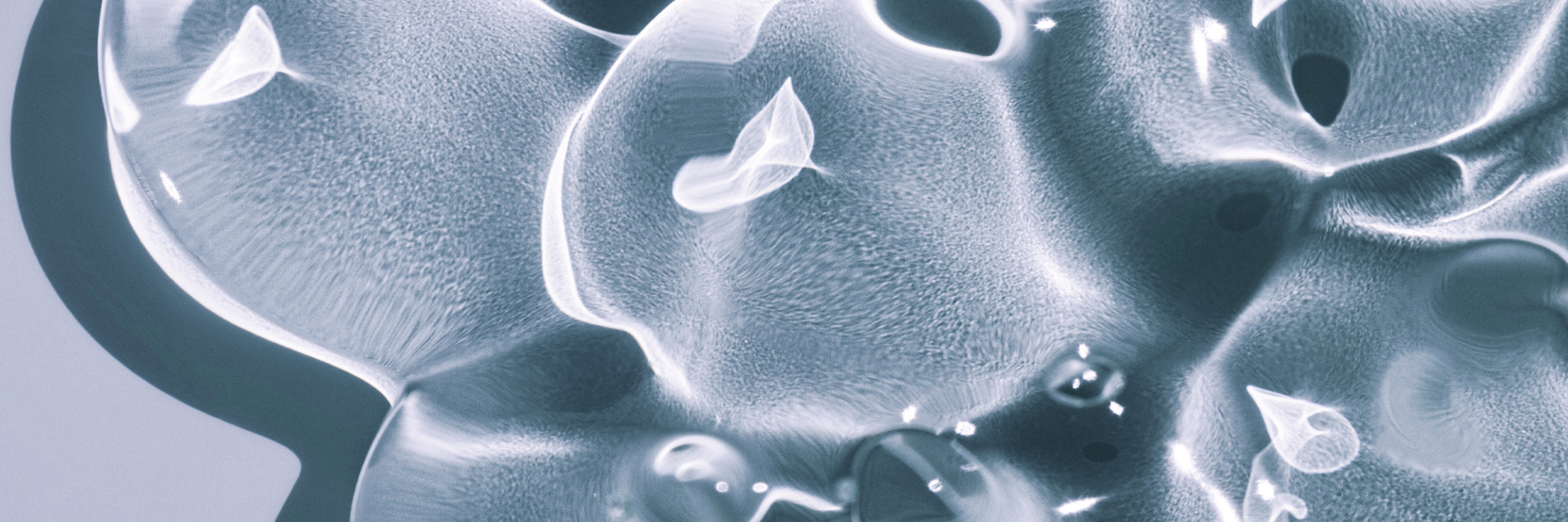 <b>Acide Hyaluronique</b>